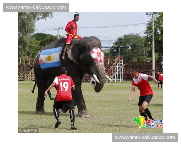 欧洲红魔对阵非洲大象：一场横跨大洲的绿茵力量之争与感官盛宴